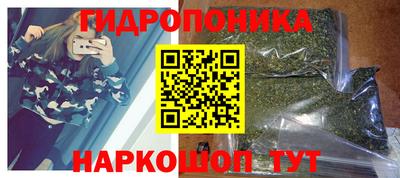 гашик Ярцево