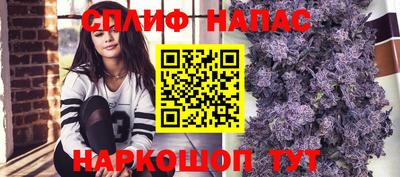 гашик Ярцево