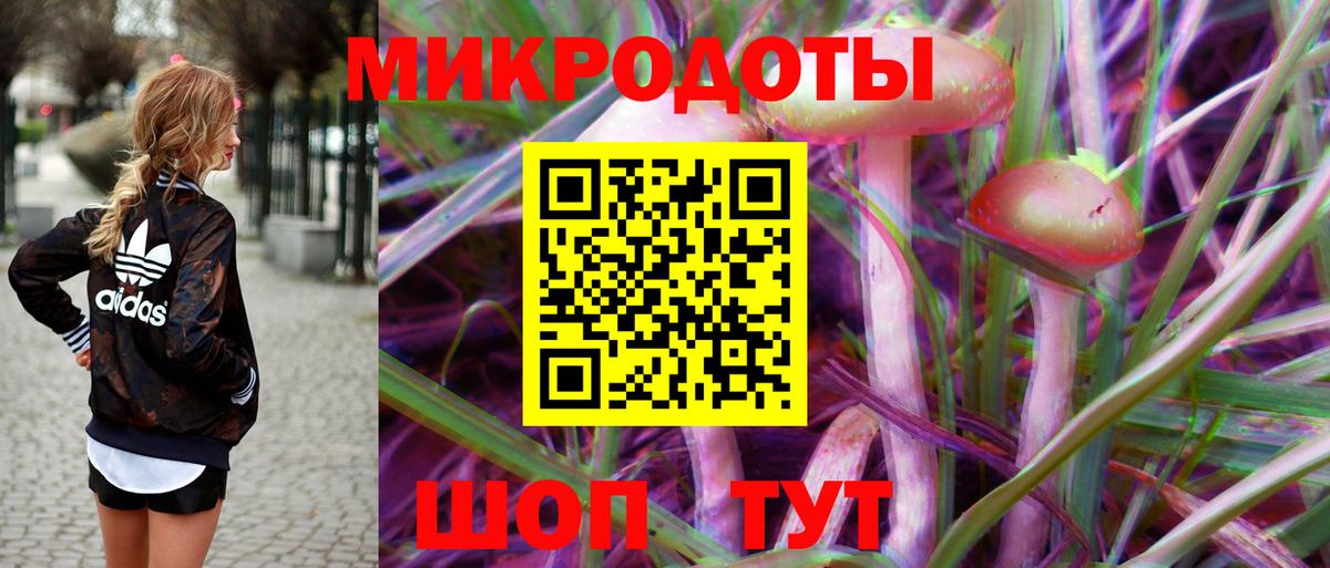 Галлюциногенные грибы Psilocybe  Псилоцибиновые грибы Psilocybe  где найти наркотики  Вход с VPN  Ахтубинск 